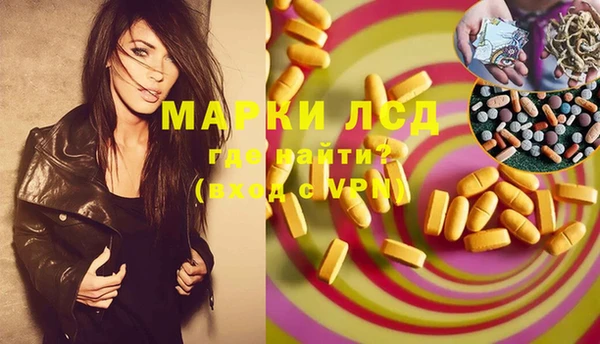 PSILOCYBIN Новодвинск