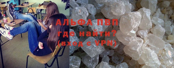 PSILOCYBIN Новодвинск