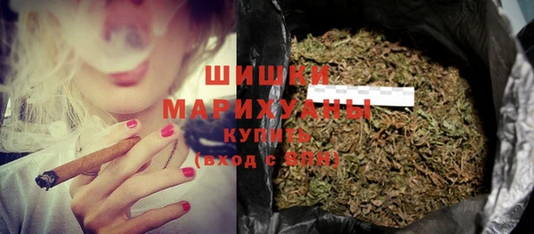 PSILOCYBIN Новодвинск