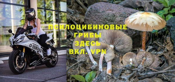 герыч Новокубанск