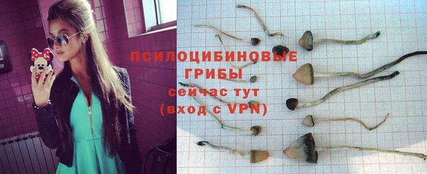 спайс Новозыбков
