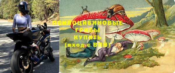 PSILOCYBIN Новодвинск