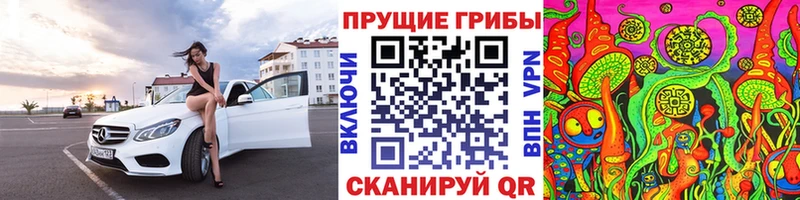 Галлюциногенные грибы Magic Shrooms  закладки  МЕГА ссылки  Богородицк 