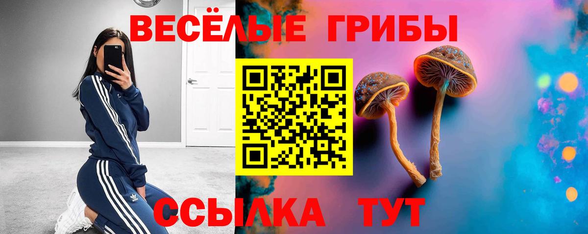 Псилоцибиновые грибы мухоморы  Вход с VPN  Галлюциногенные грибы Psilocybe  Богородицк 